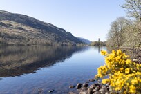 This is the view at the waters edge on the castle grounds.