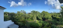 Panoramic view from the upper balcony