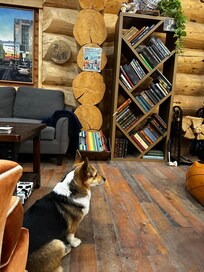 Lodge and resident dog.