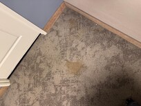 Stains on the carpet everywhere.