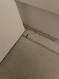 Silverfish and dirt in the room