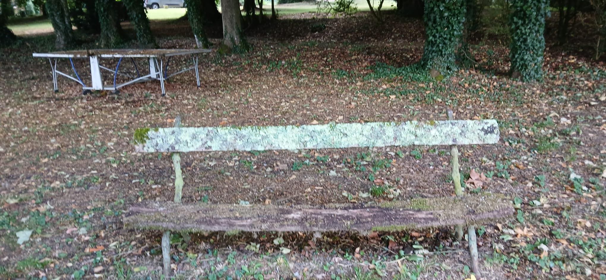 banc du parc