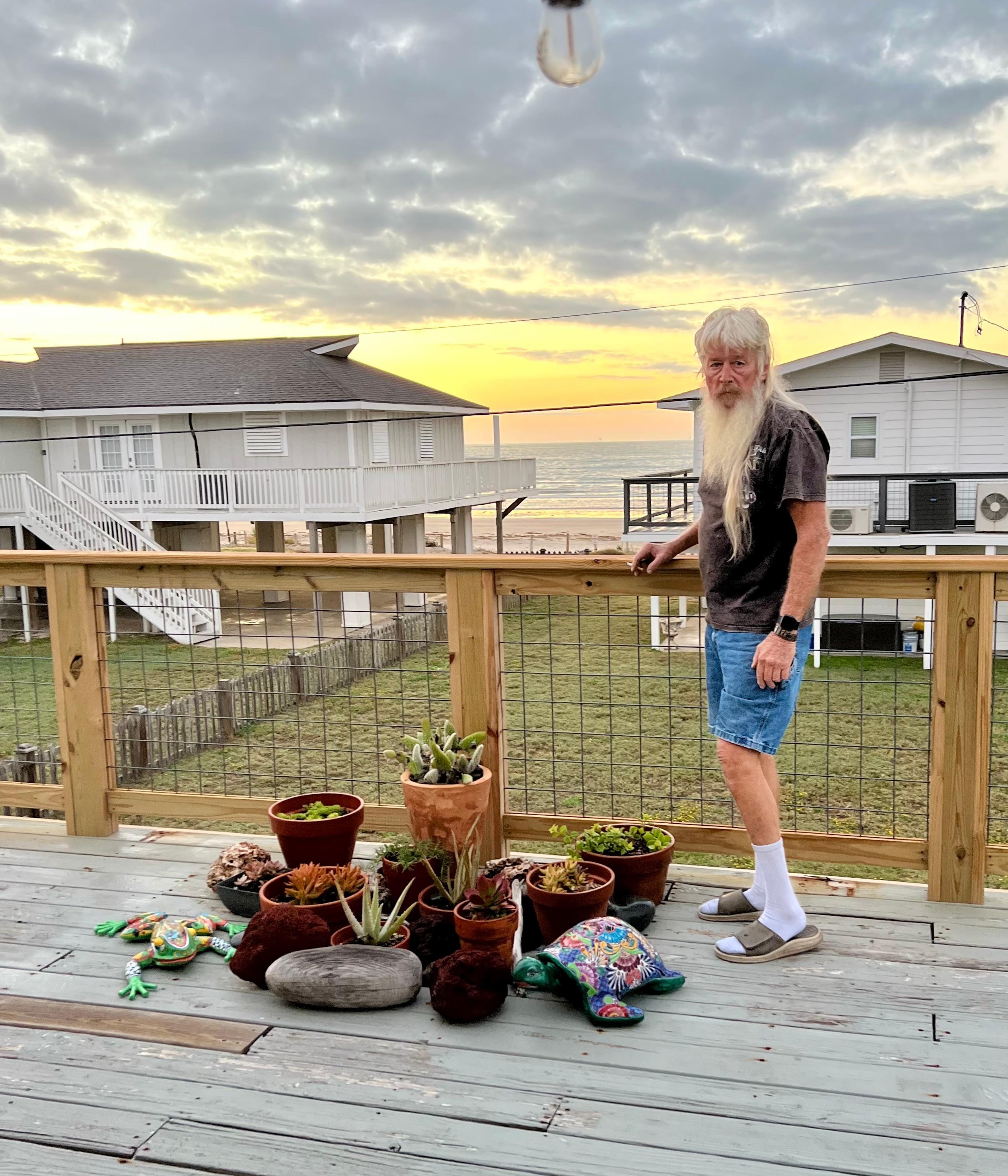 Beautiful cactus garden with painted frog & turtle 