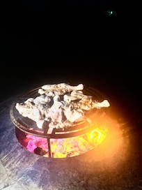 Wood bbq in property