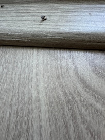 Le
Clou dans le sol qui est renteee dans l orteil