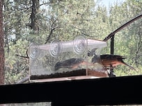 This feeder is attached to the big window and was a fun touch to watch all of the different birds eating.