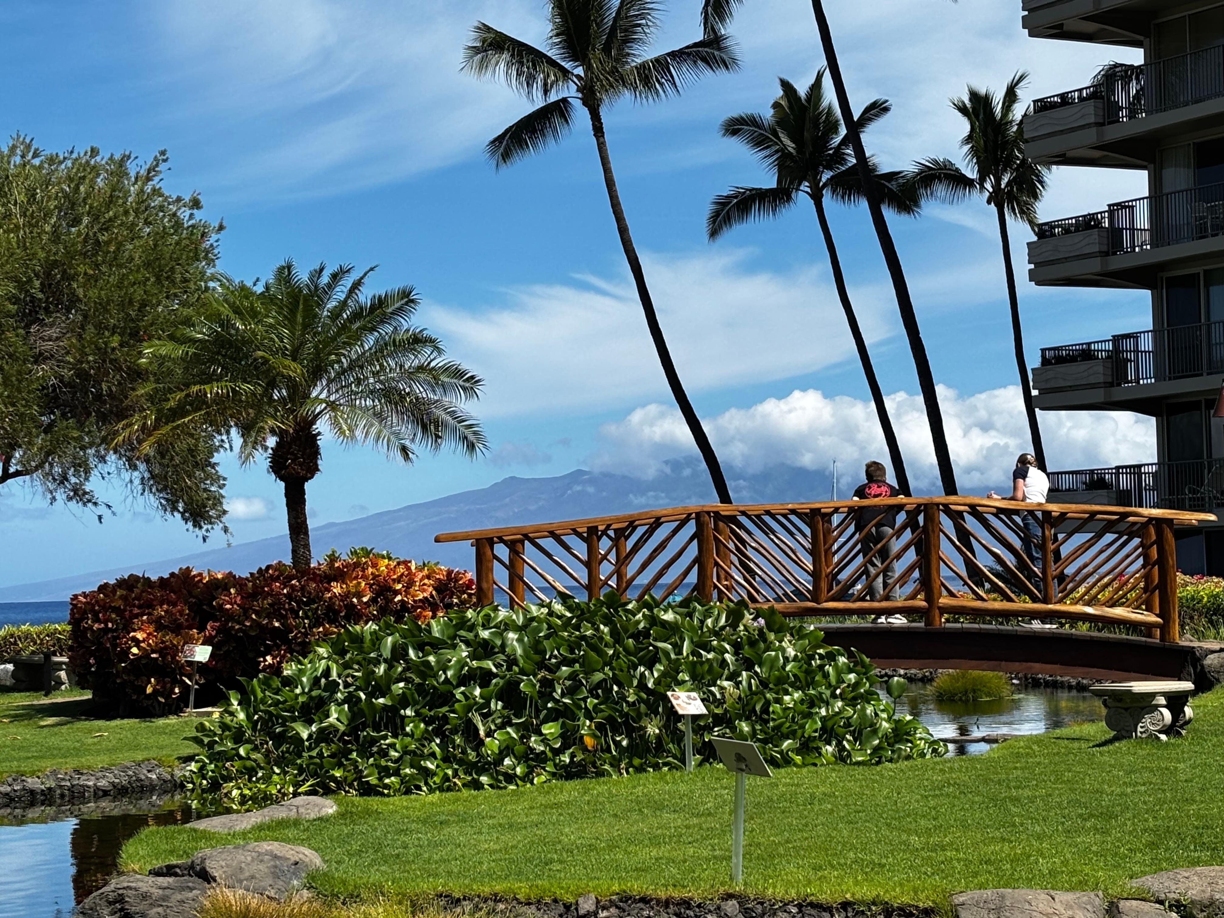 Grounds near the lobby