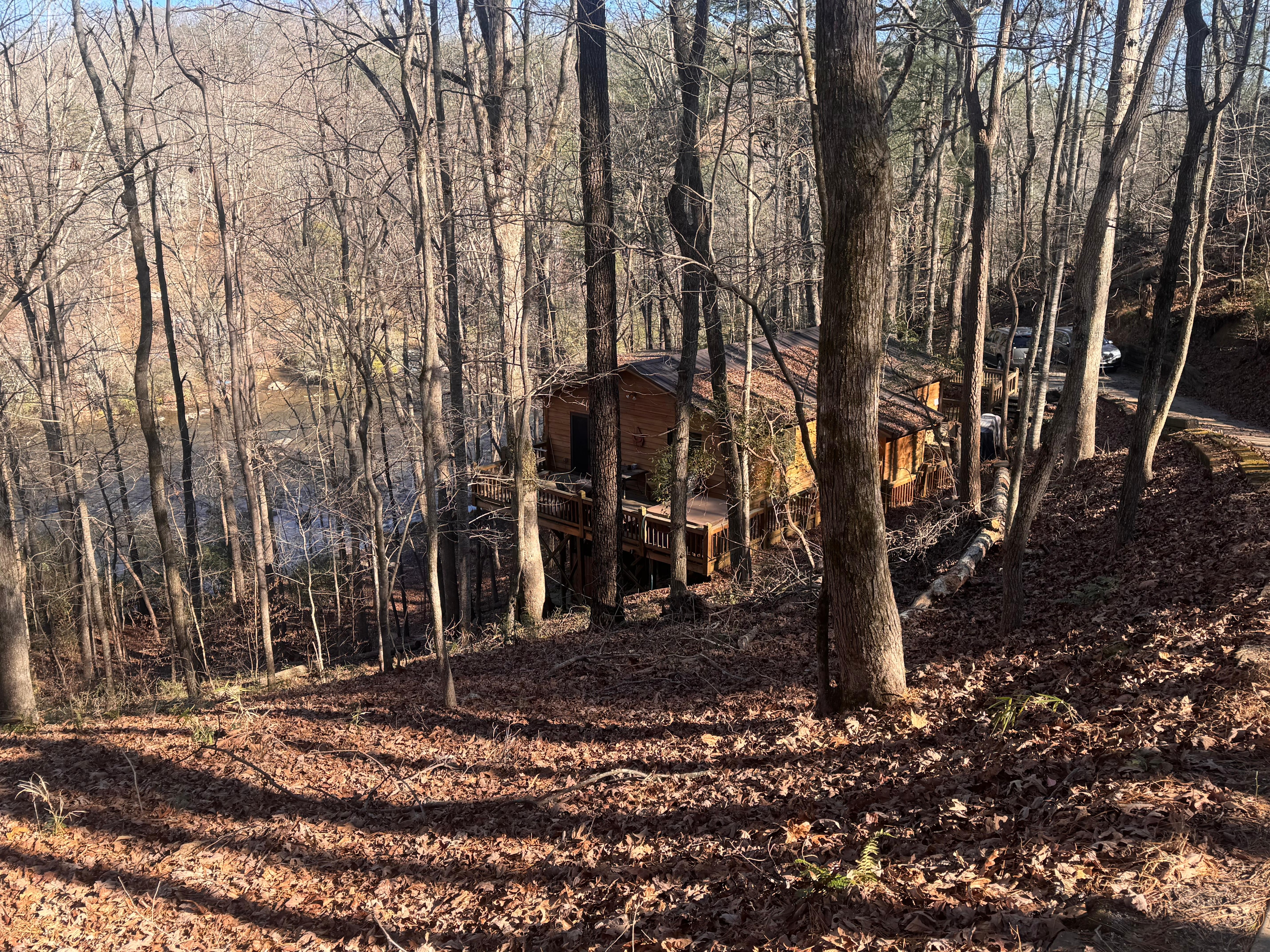 Looking down from the driveway to the river