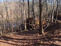 Looking down from the driveway to the river