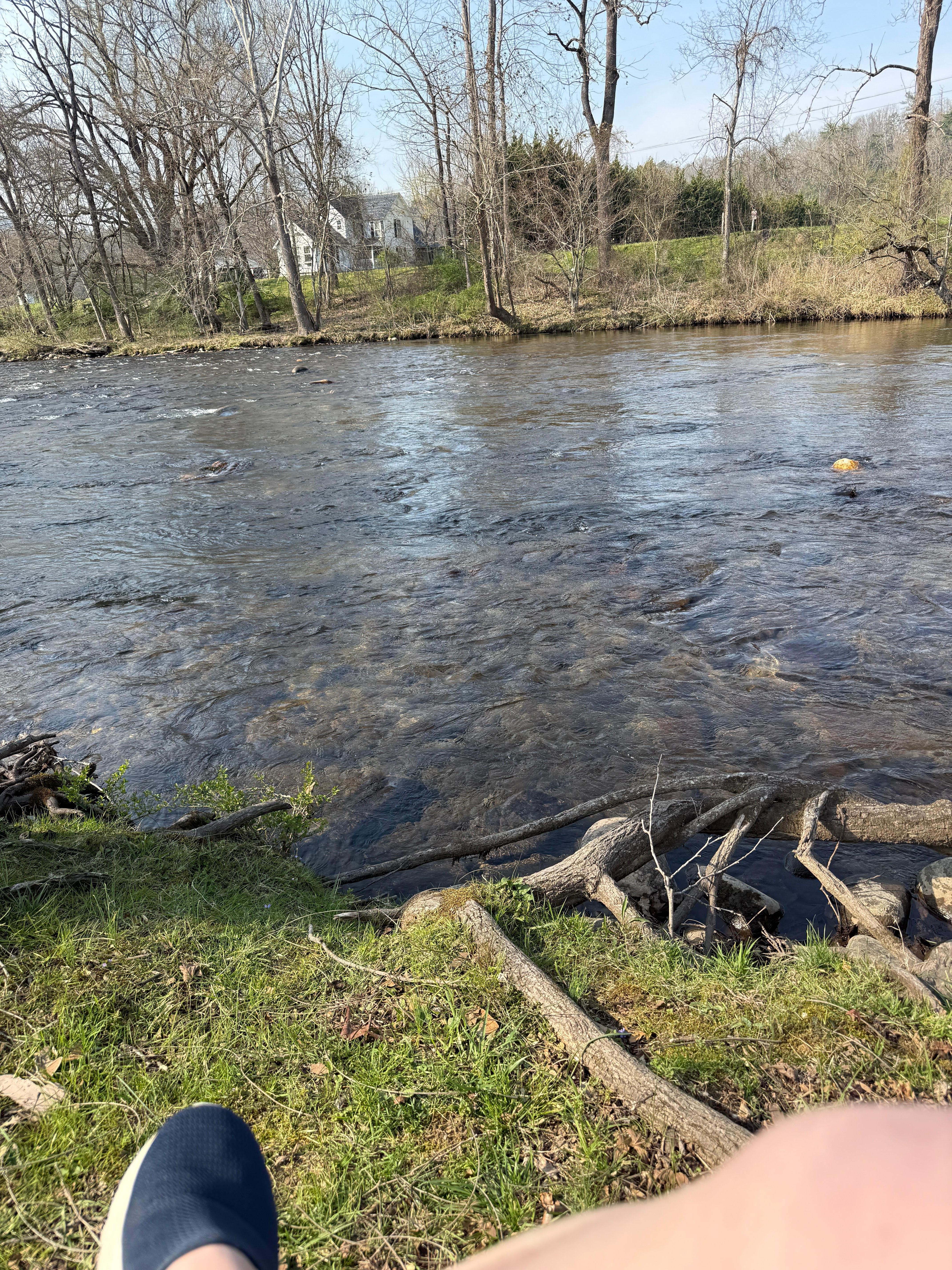From a bench on the river