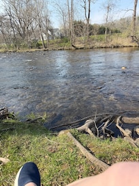 From a bench on the river