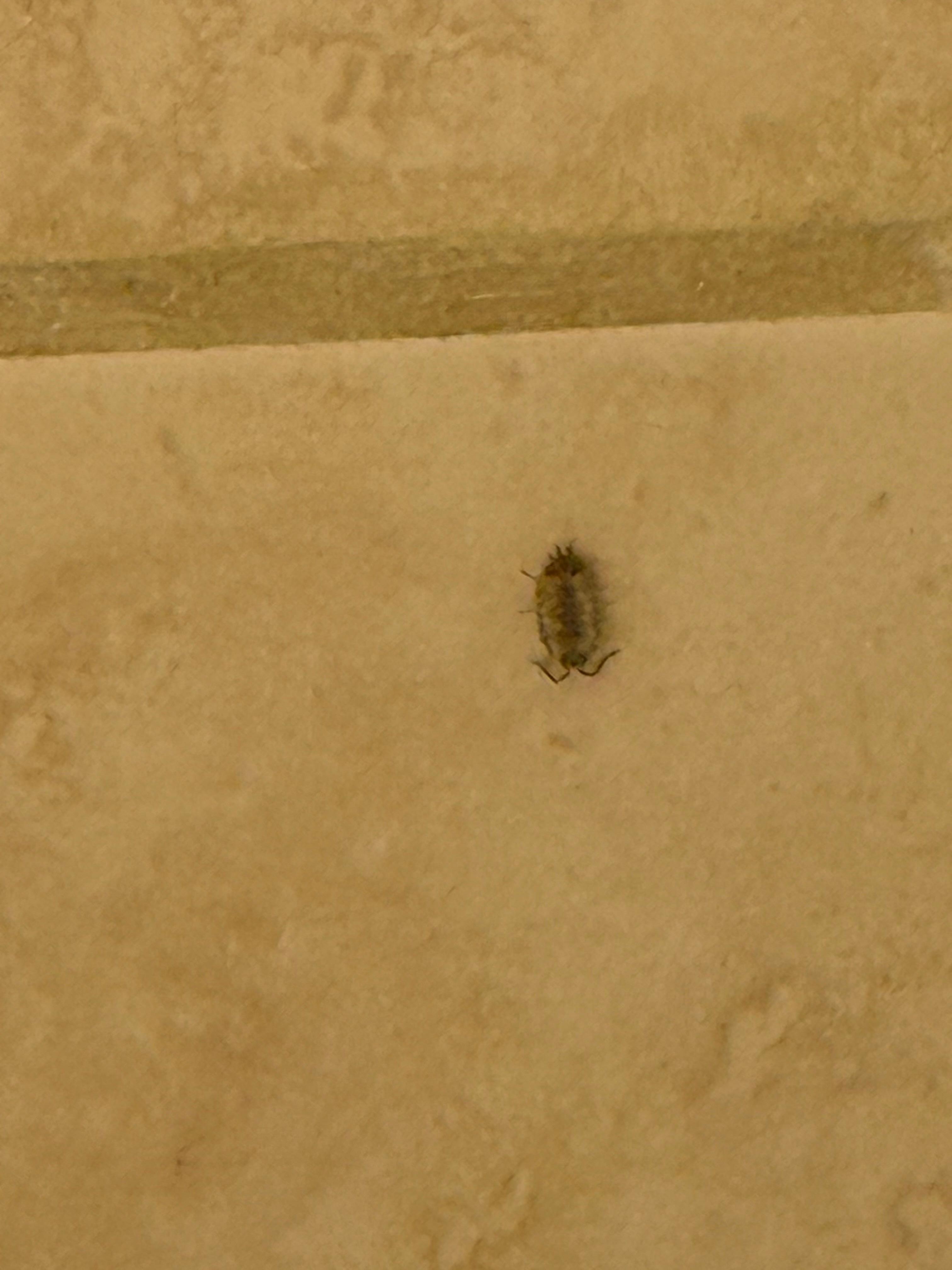 some of these around the area