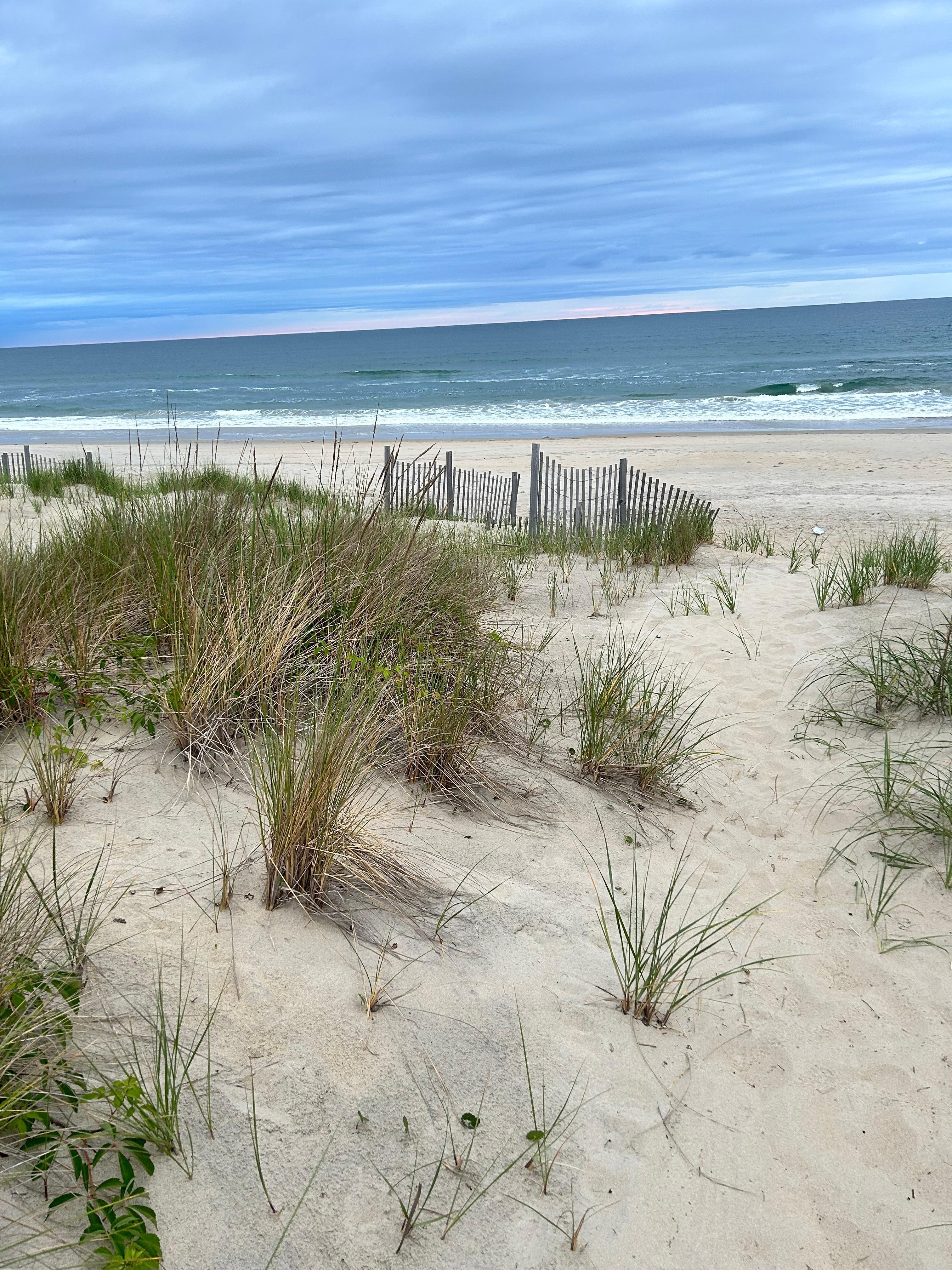 Sand dune walkway!