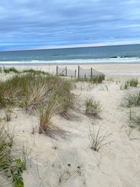 Sand dune walkway!
