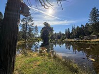 Beautiful farm