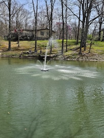 Pond with water fountain