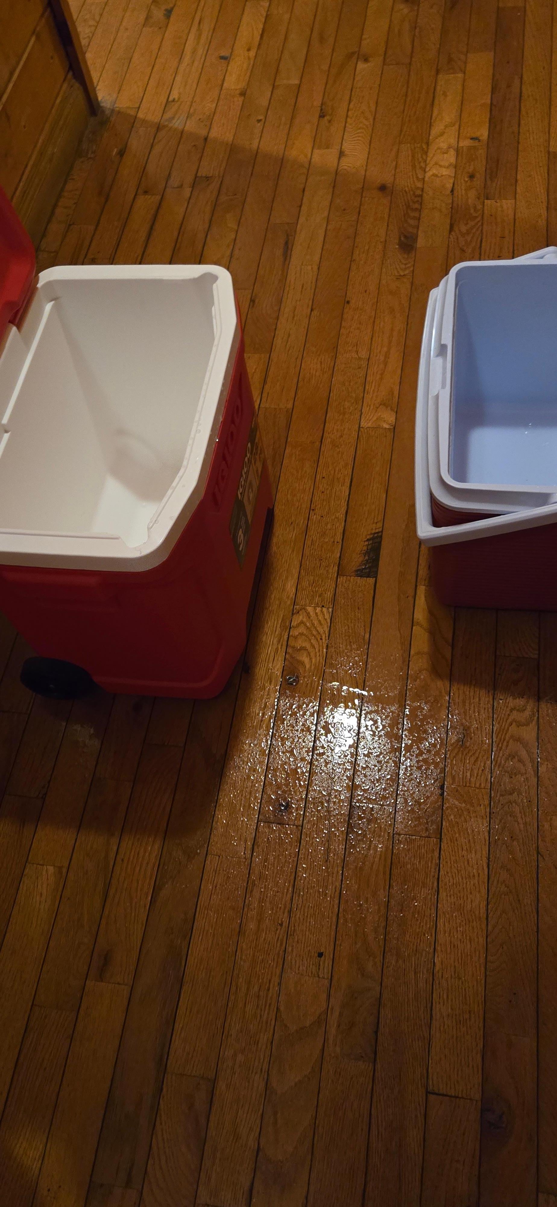 Water coming from upstairs shower