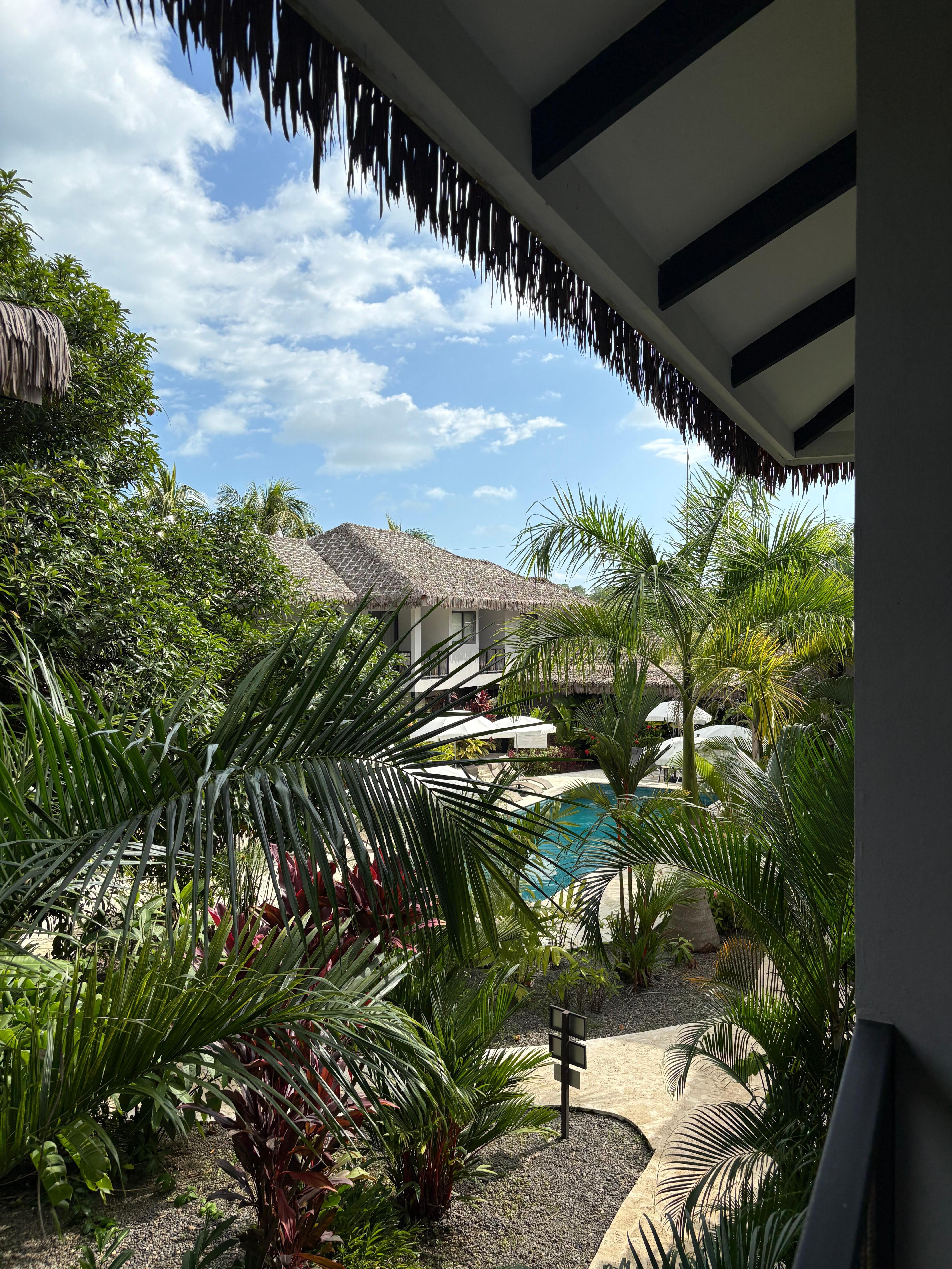 Vista desde la habitación de arriba. 