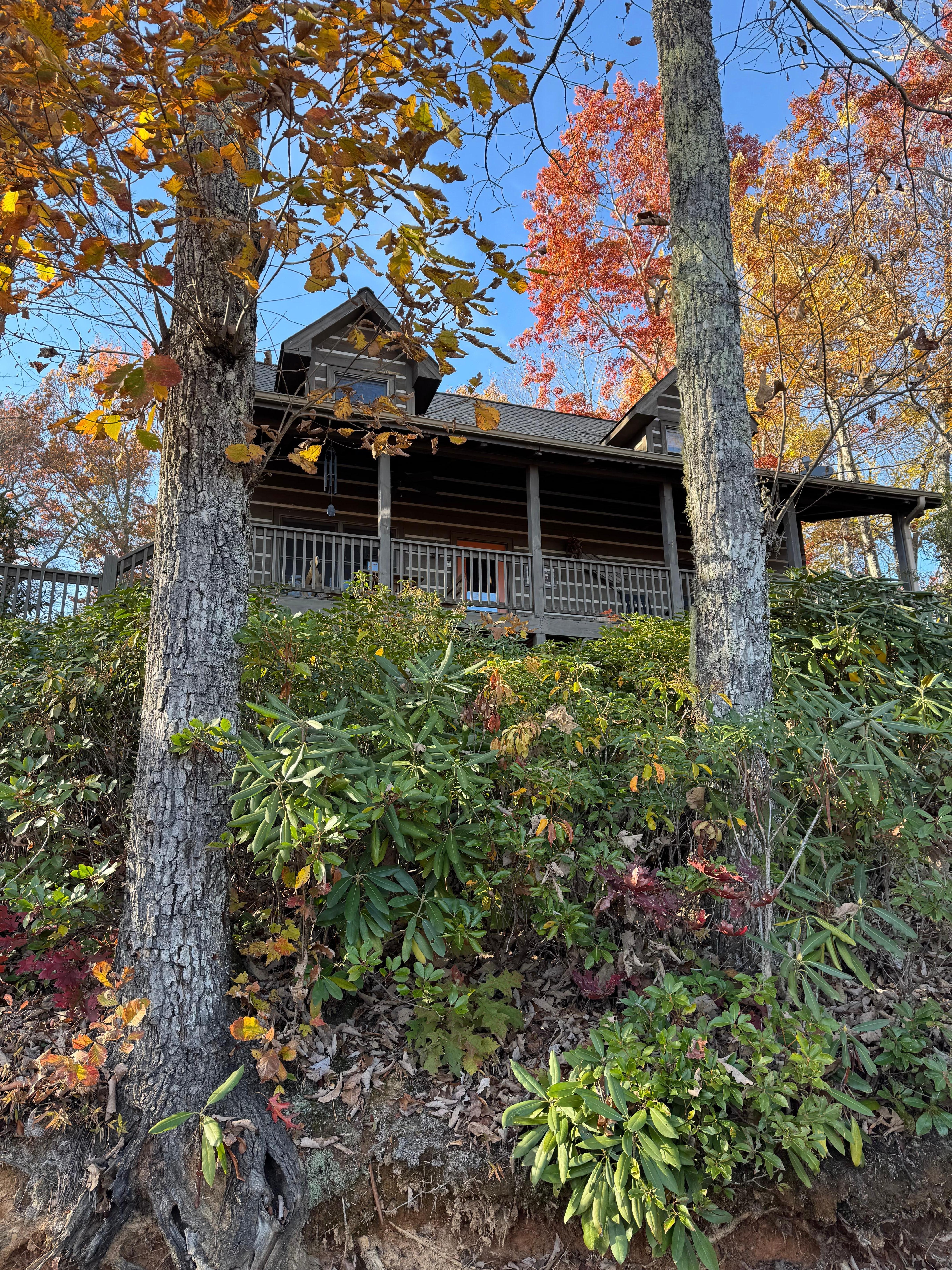 View from road before turn up drive to cabin. 