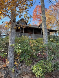 View from road before turn up drive to cabin.