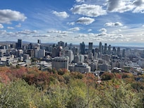 A view to the city from the Mount Royal
