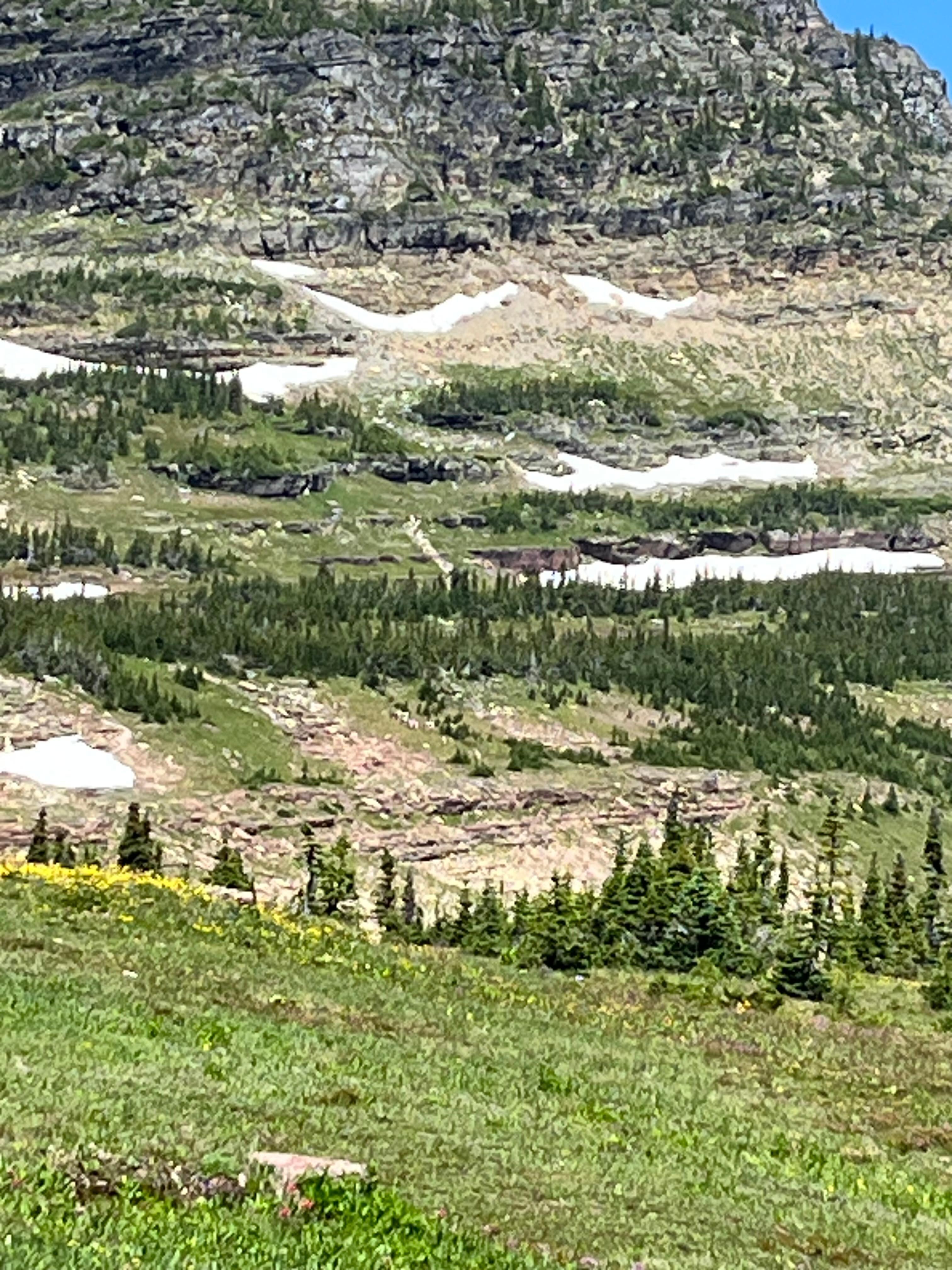 Glacier NP