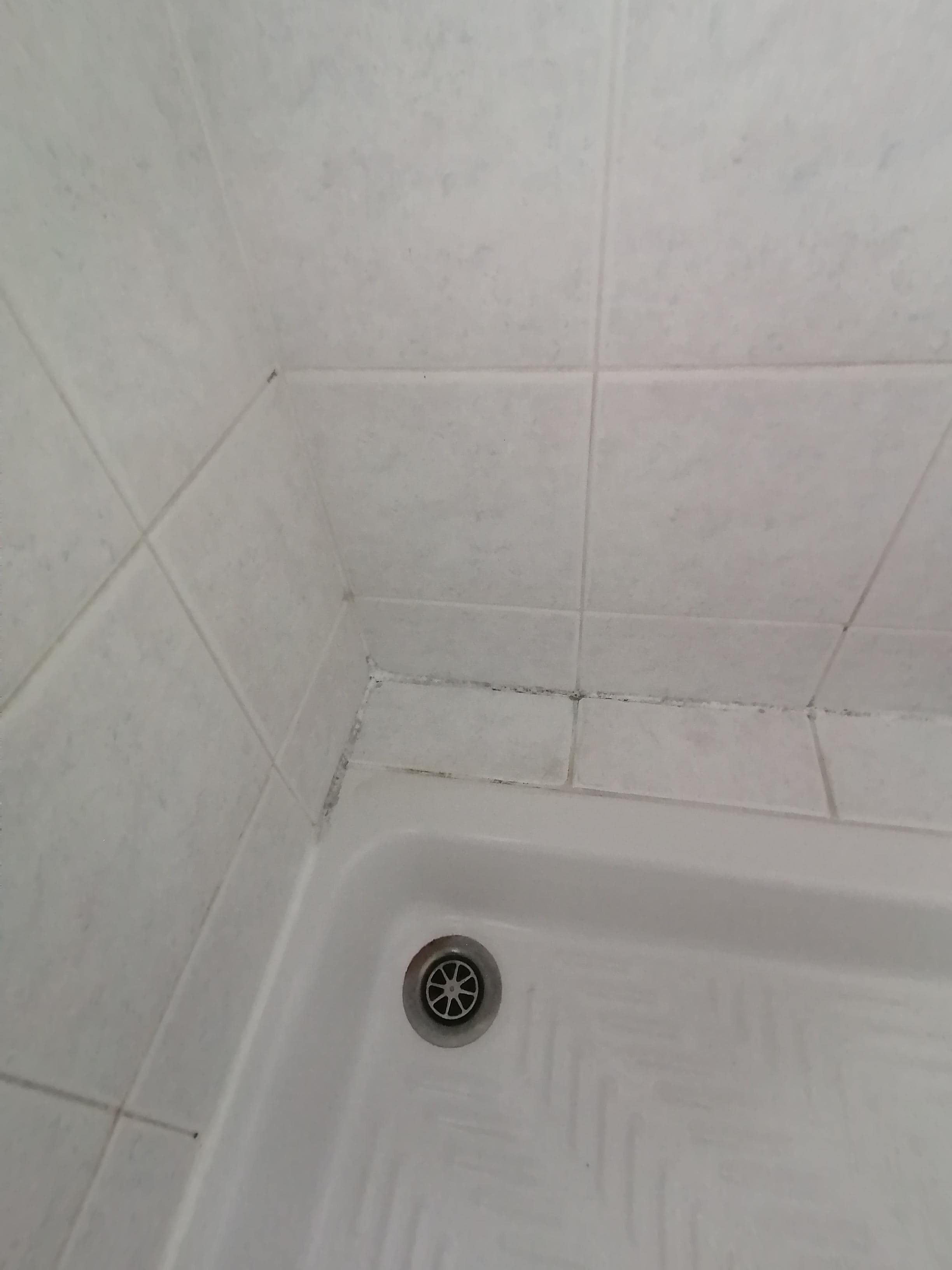 Schimmel in beiden Duschen