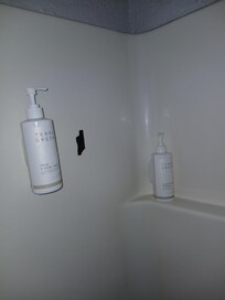 Body wash and shampoo bottles