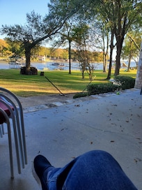 My view from the back porch early one morning