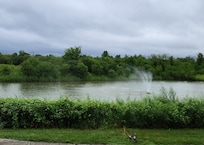View from patio.