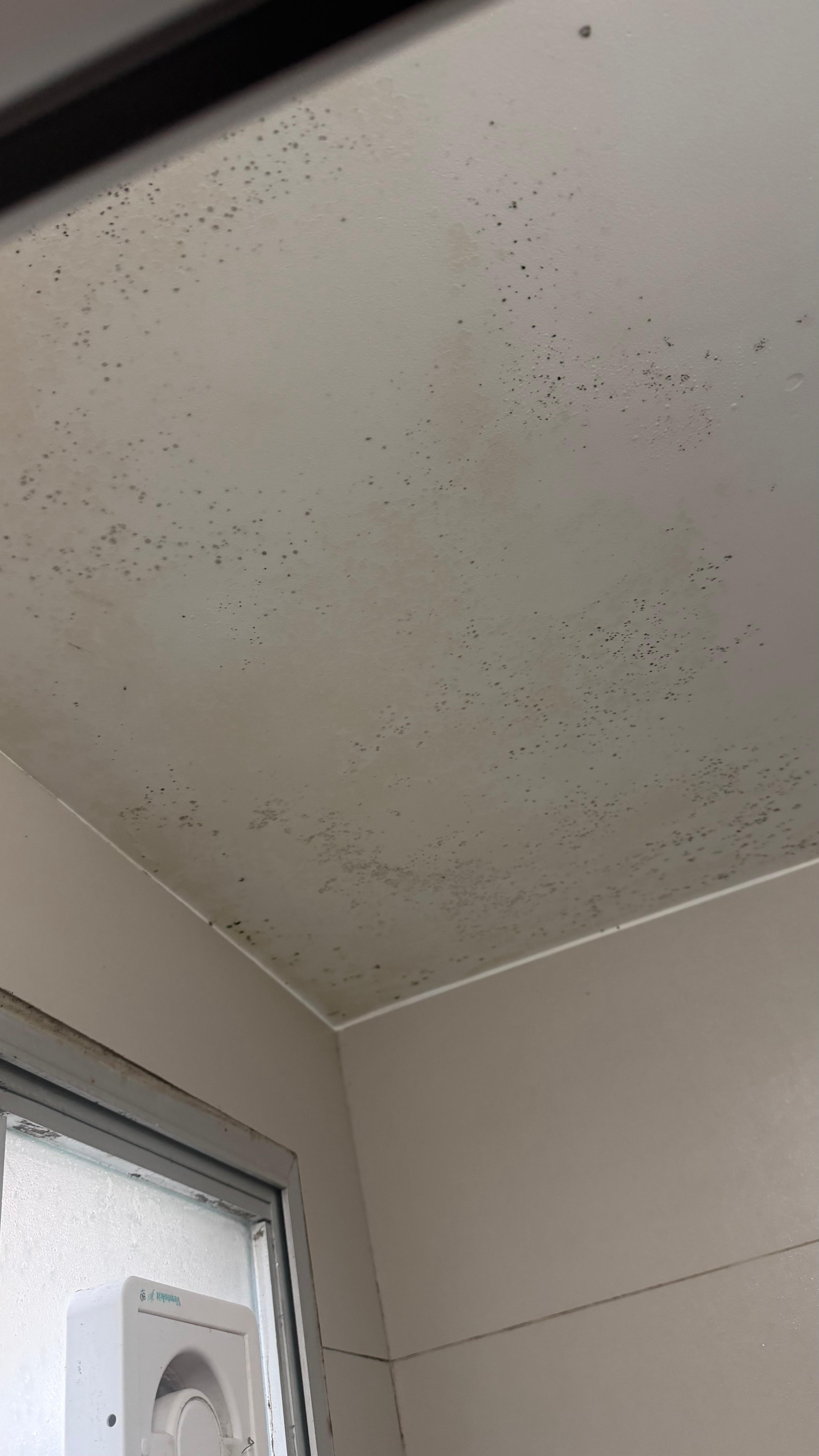 Infiltração no teto