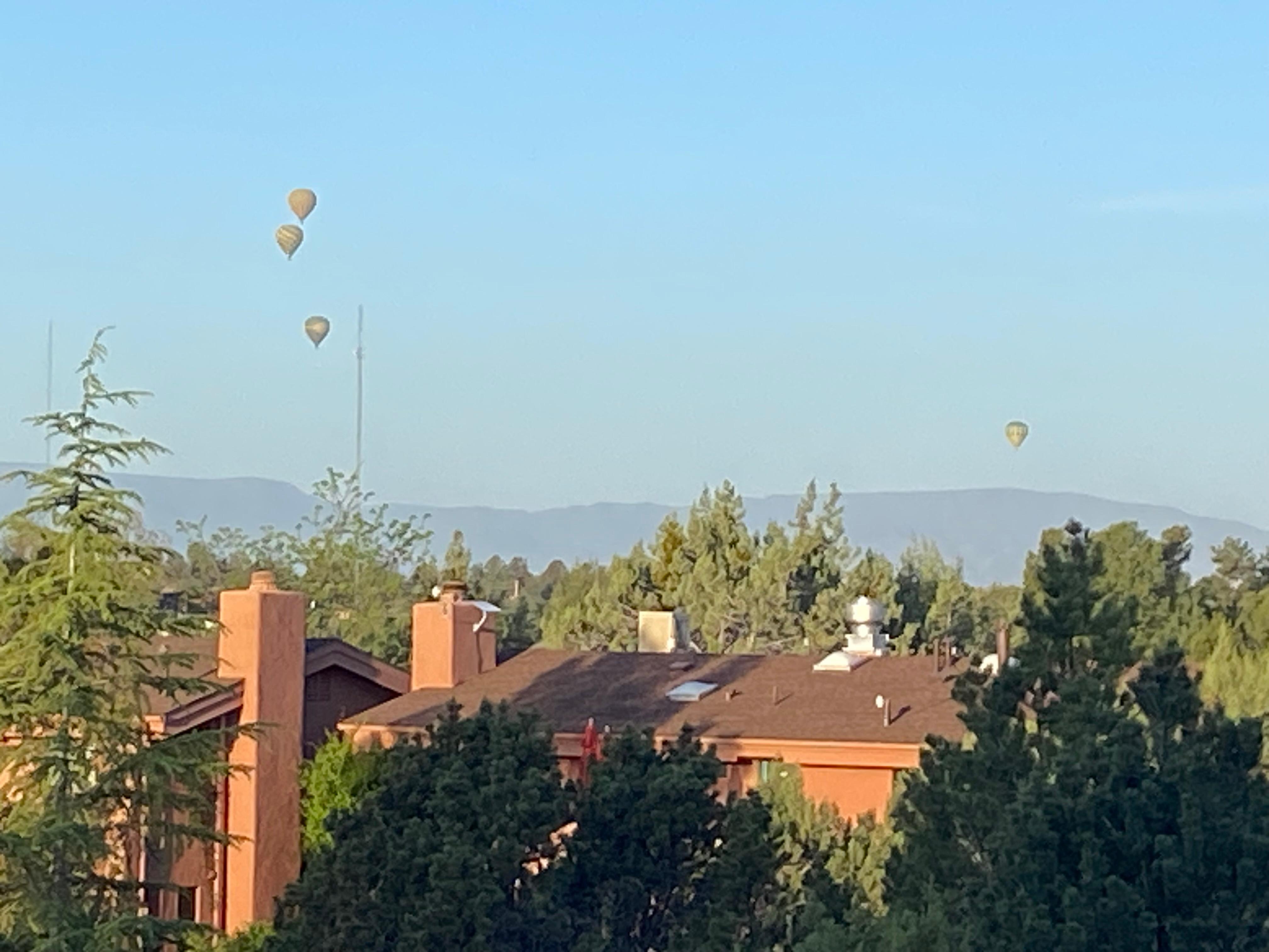 Early morning from the patio 