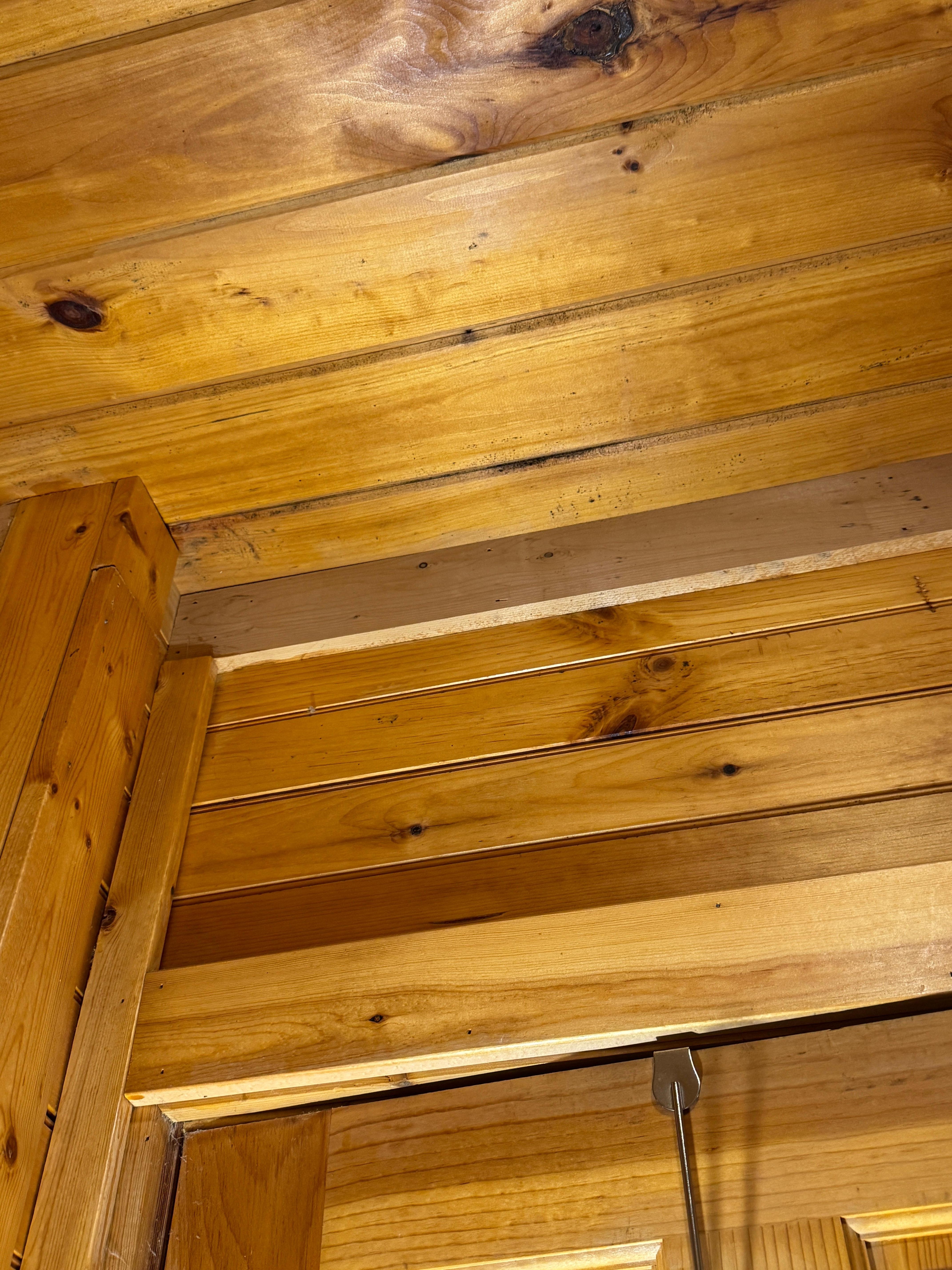 Downstairs bathroom mold and mildew 