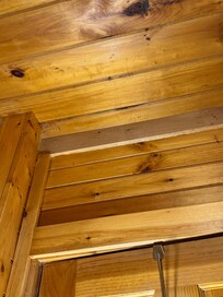 Downstairs bathroom mold and mildew