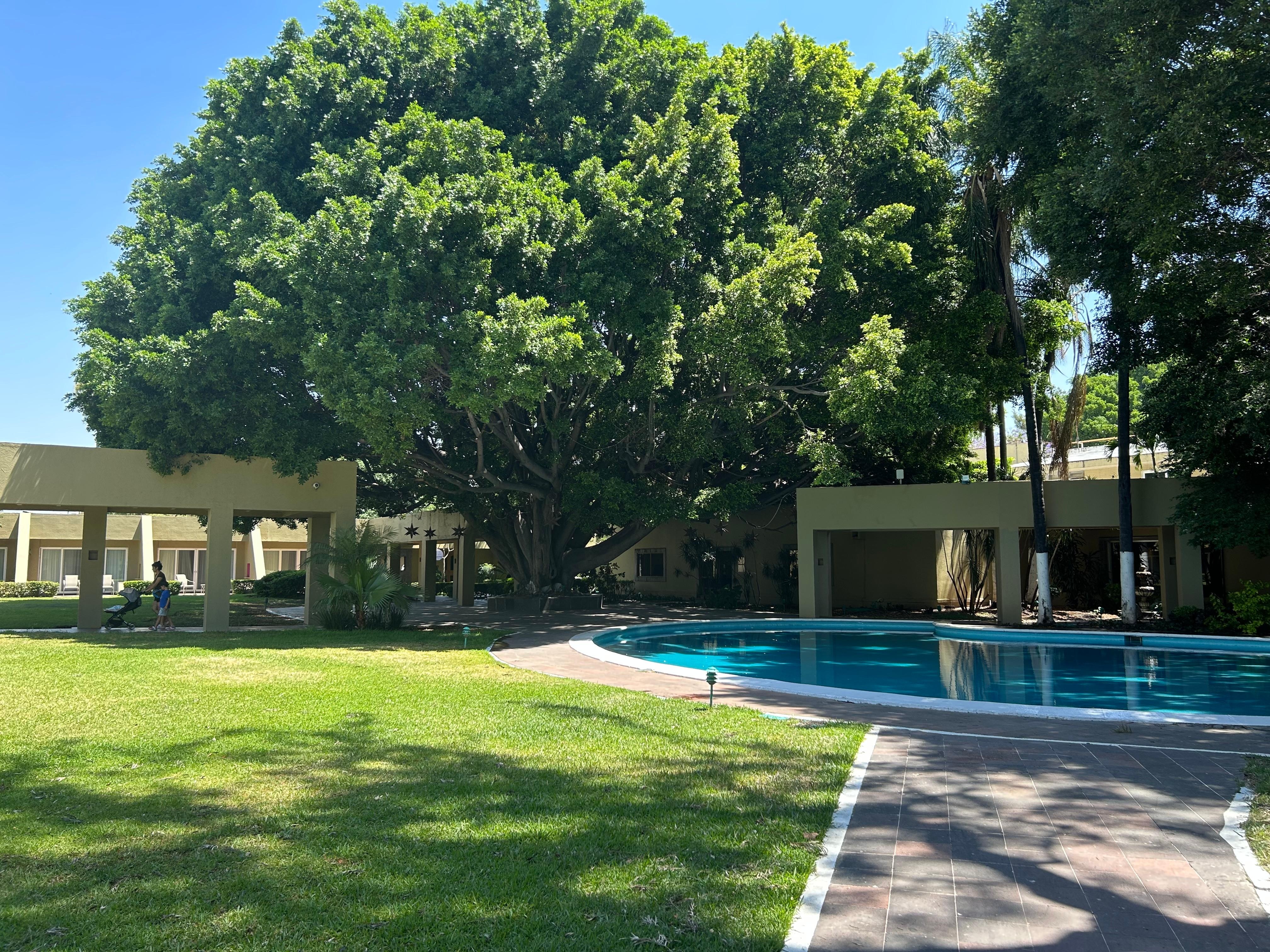 Las habitaciones con una vista a los jardines 