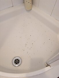 My bathroom shower deain