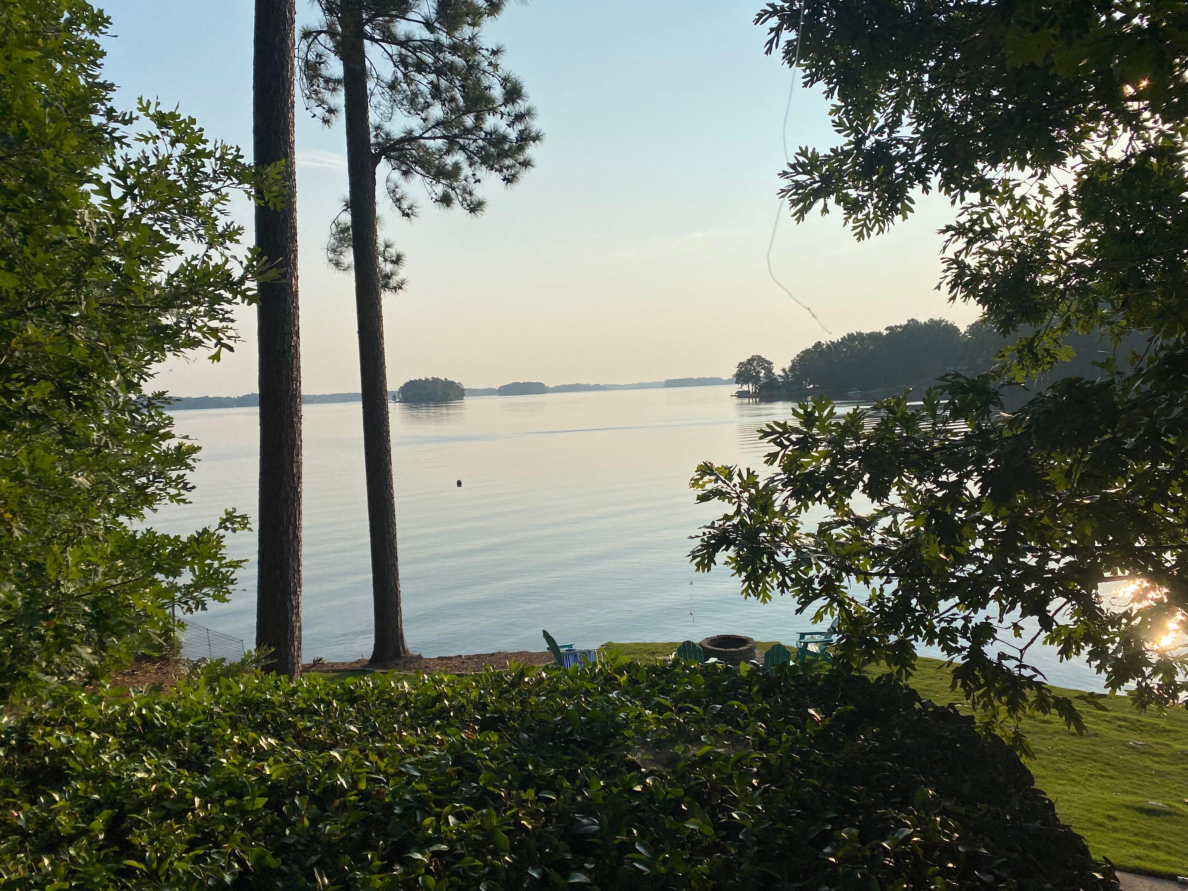 View from Deck