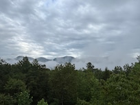 Hard To take it all in…