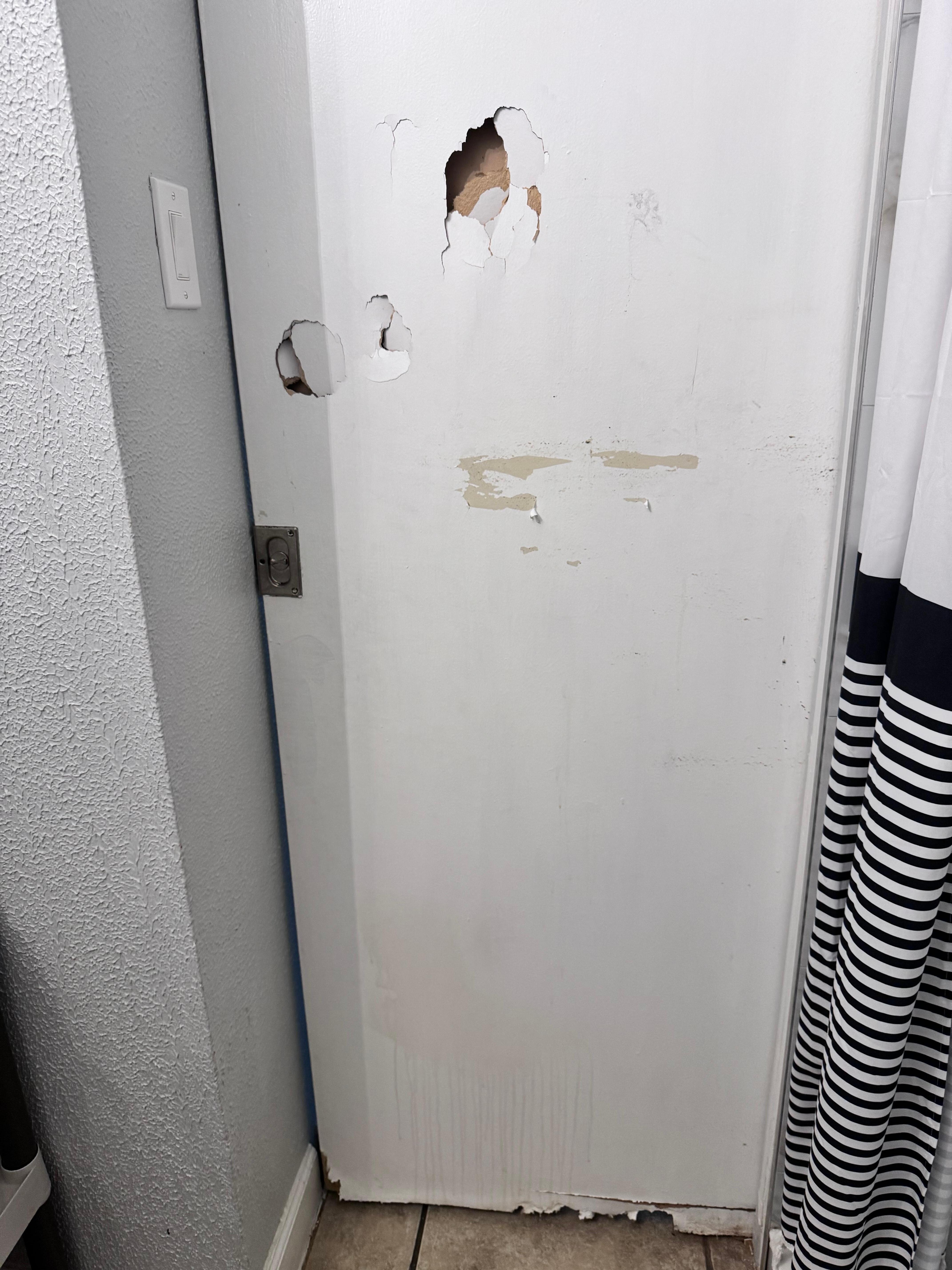 Bathroom door 