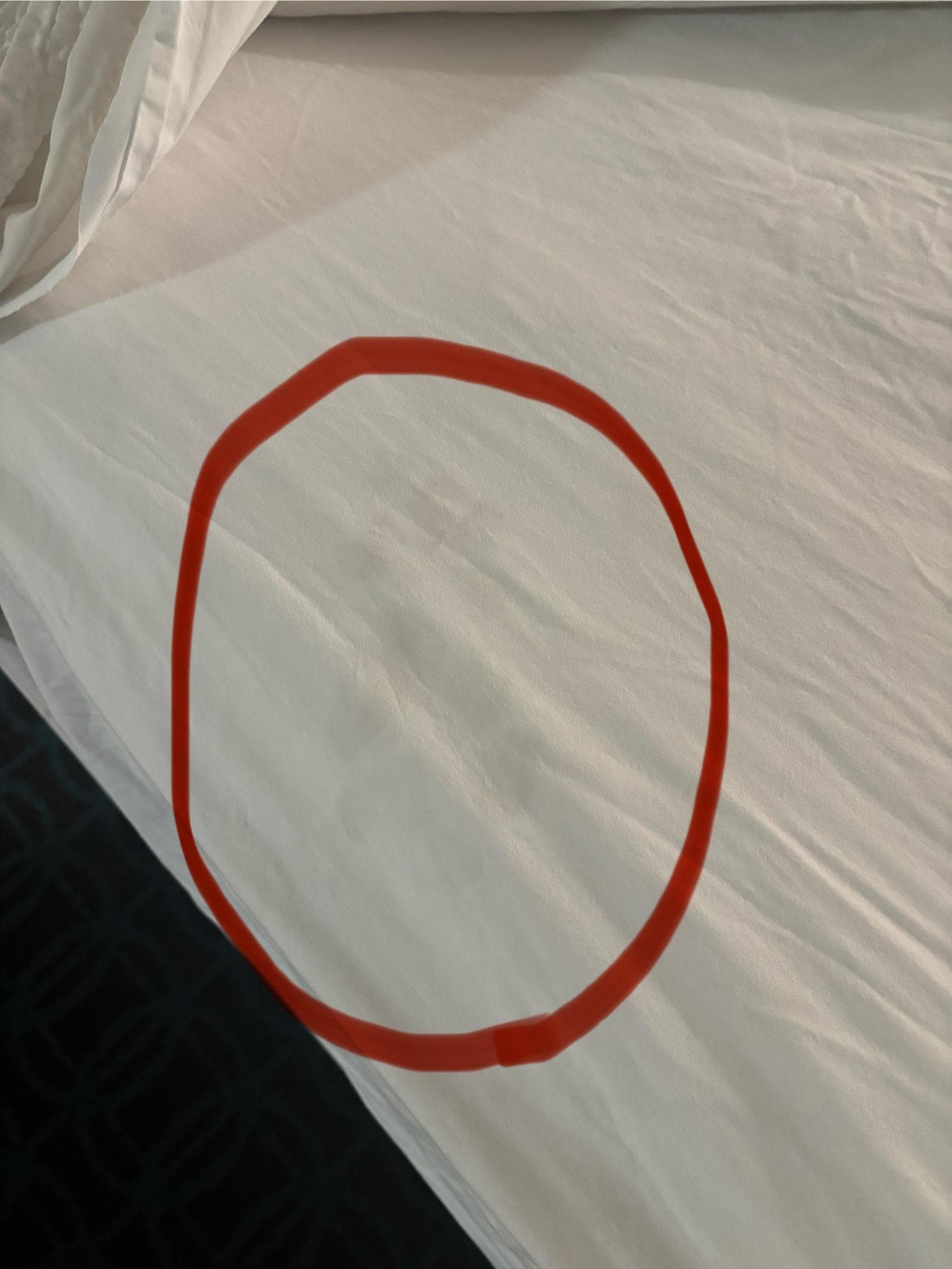 The large dog’s paw print on my bed sheet.