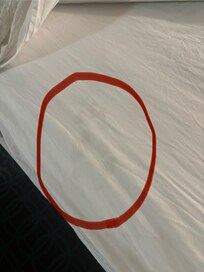 The large dog’s paw print on my bed sheet.