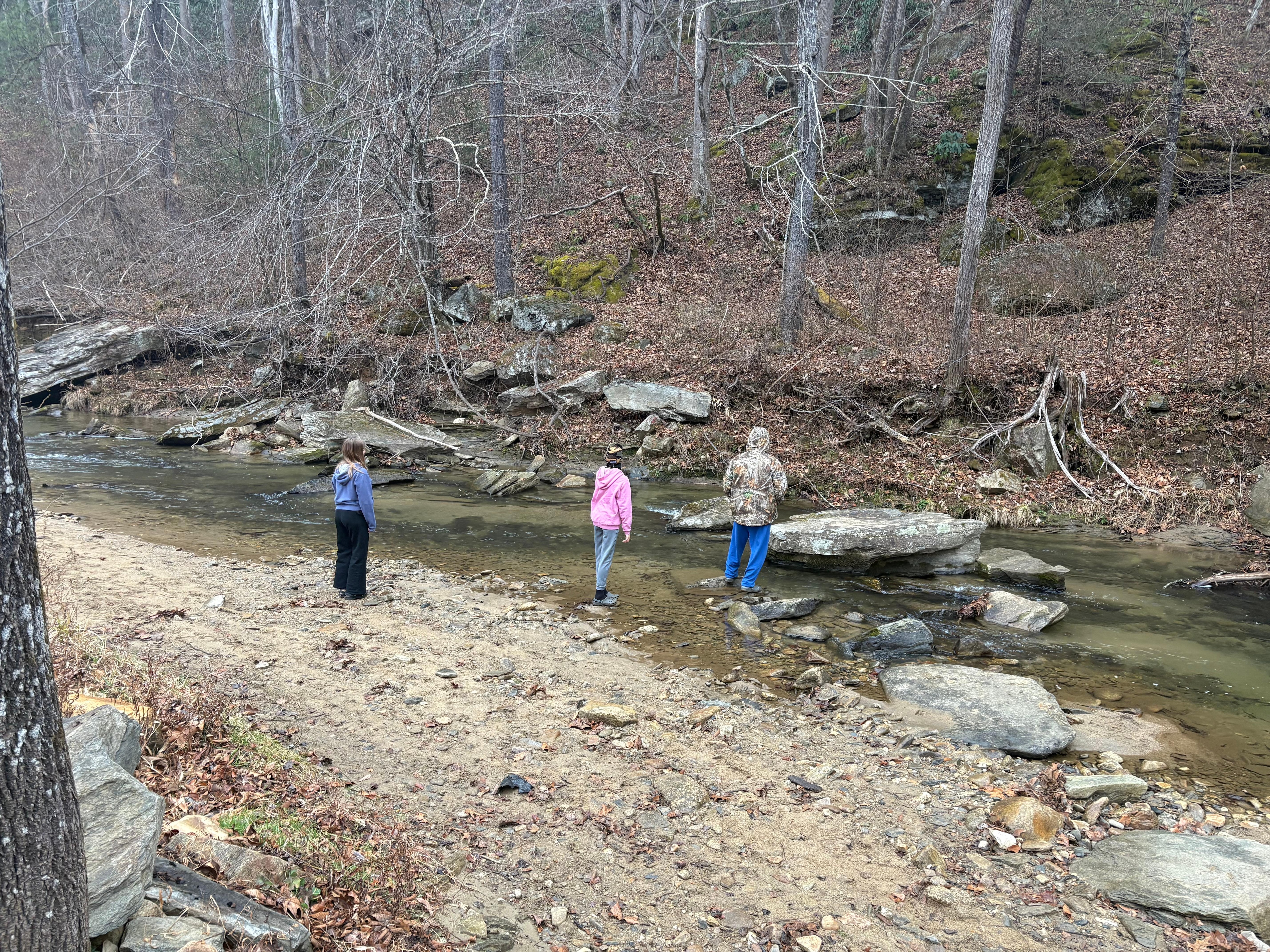 Morning walk along the creek 
