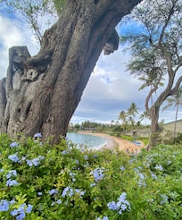 Napili Bay from the path