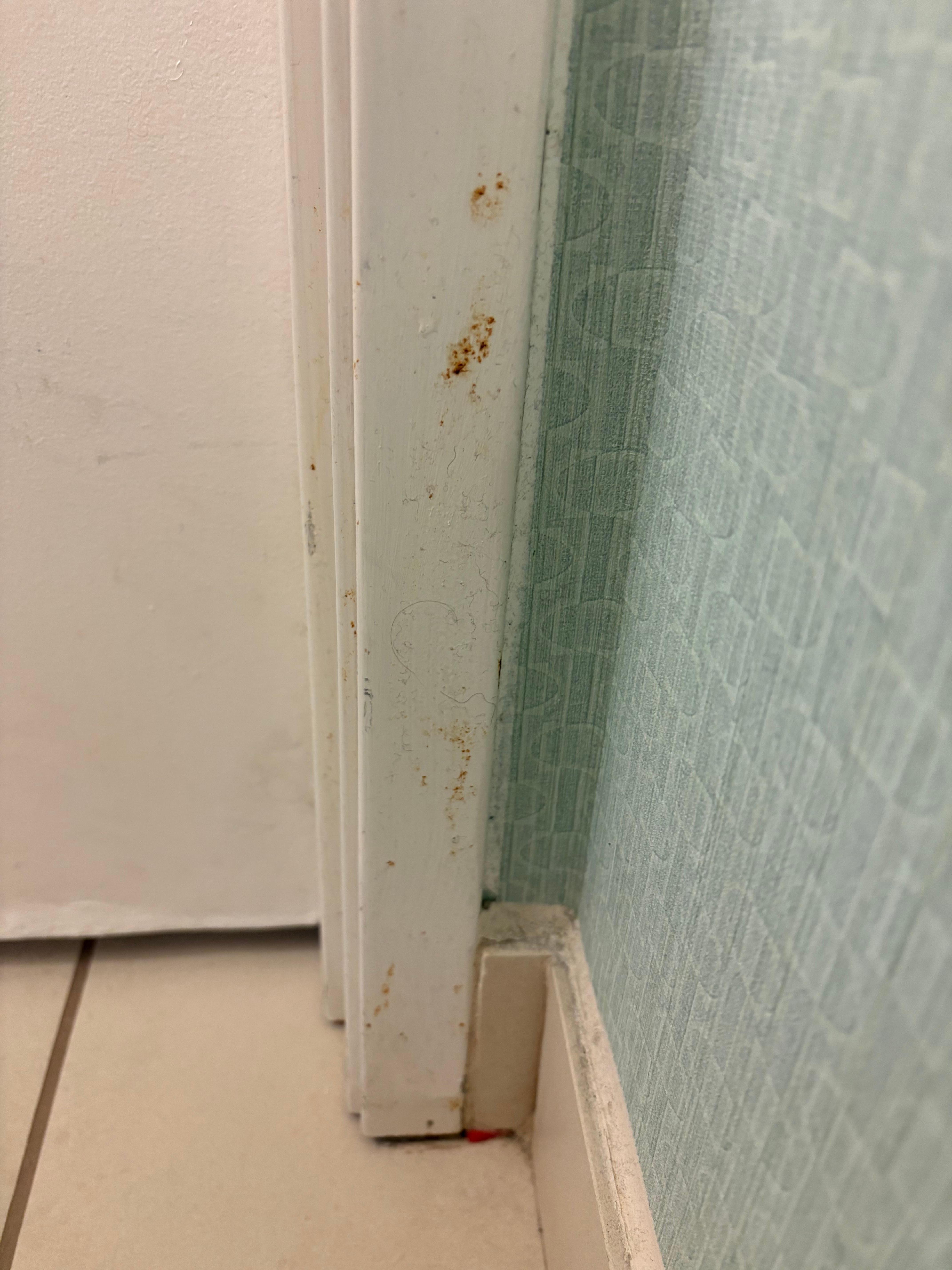 Bathroom door frame.