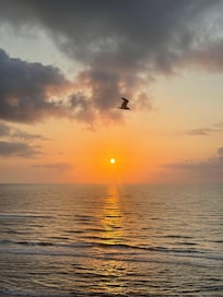 Sunrise from the balcony.