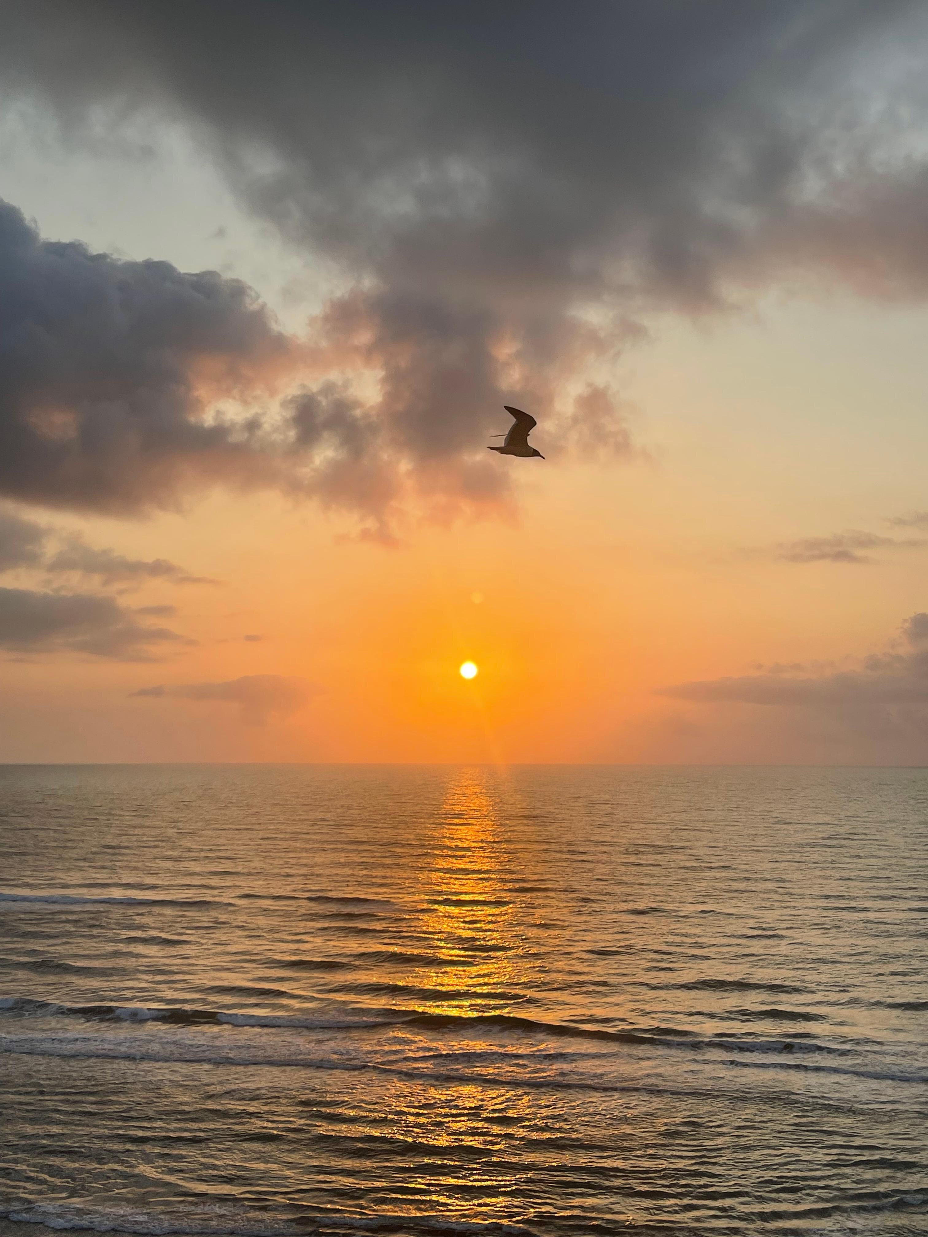Sunrise from the balcony.