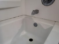 Is this mold?