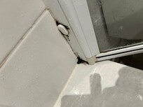 Mold