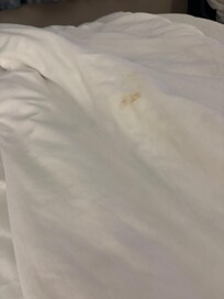 Dirty Sheet