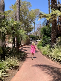 The walk to the pool-reminded us of Hawaii.
